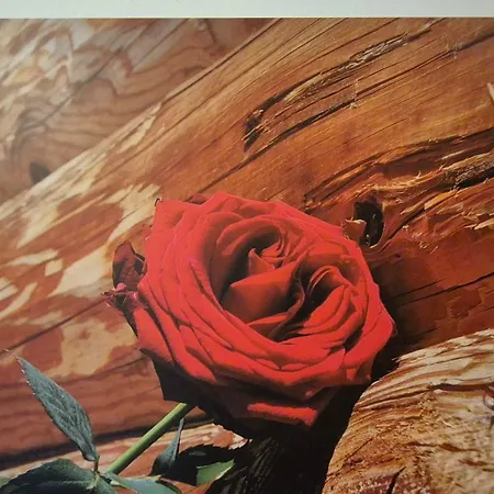 Apartman Bergblick *