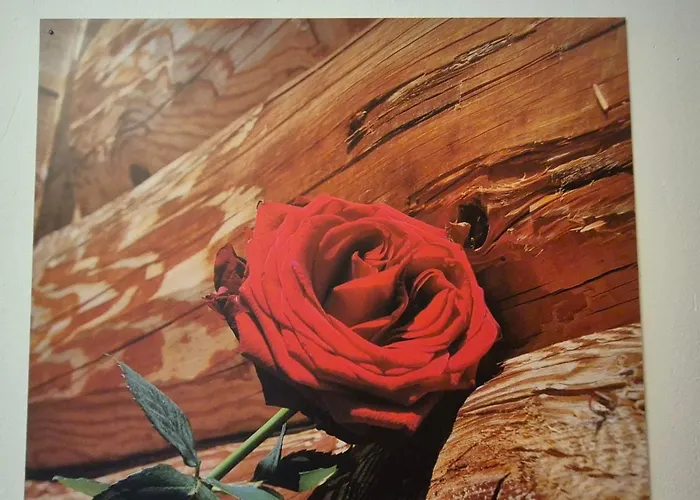 דירה Bergblick *